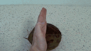 Howtobasic Gif By Apex Afterglow Howtobasic Gif By Apex Afterglow