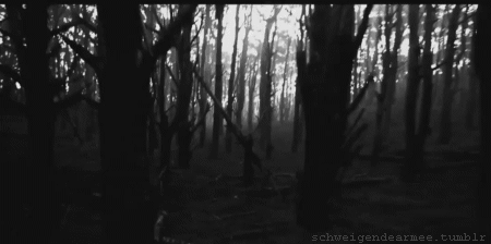 Image result for woods gif